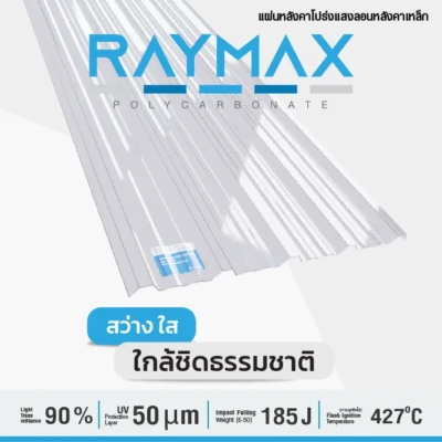 RAYMAX